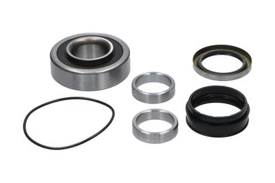 Kavo Parts Rato guolio komplektas