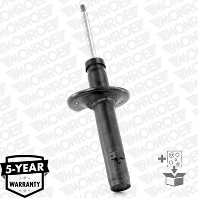 Shock Absorber R11522