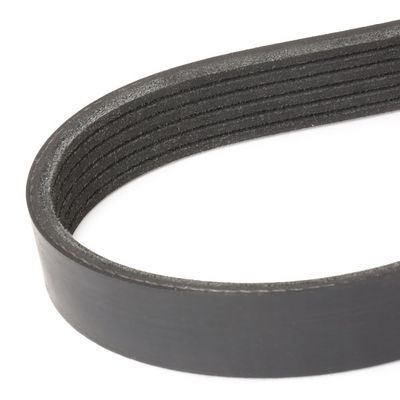 пистов ремък STARK SKPB-0090073