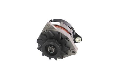 GENERATOR / ALTERNATOR REMANTE 011003000080R 64