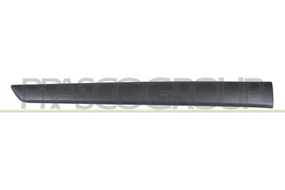 ZIER-/SCHUTZLEISTE TüR