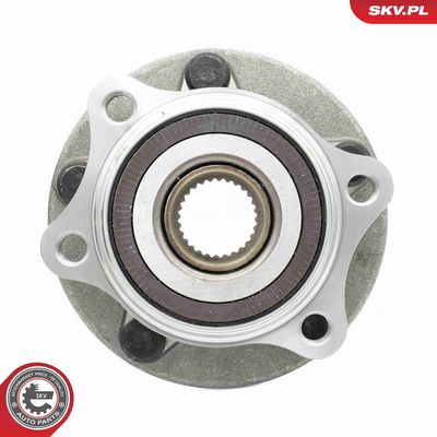 SET RULMENT ROATA ESEN SKV 29SKV616 3