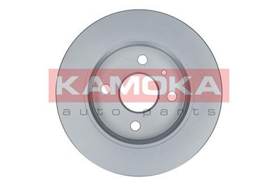 Brake Disc 1032086