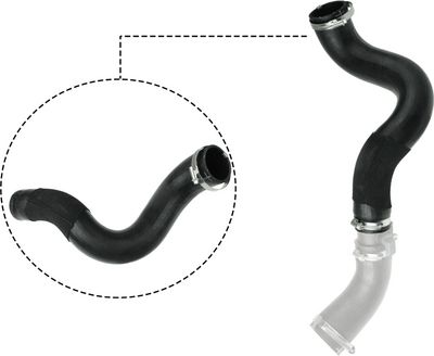 FURTUN EAR SUPRAALIMENTARE