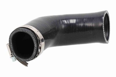 FURTUN EAR SUPRAALIMENTARE