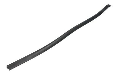 zijruit strook Voor Rechts past: RENAULT LAGUNA II 03.01-12.07