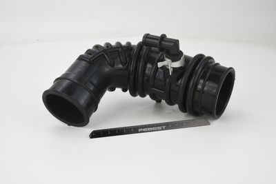 FURTUN ALIMENTARE AER FEBEST 02450001 50