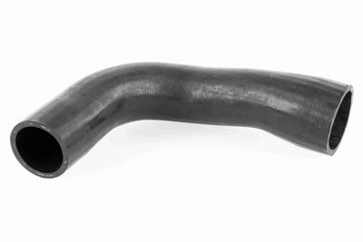 FURTUN EAR SUPRAALIMENTARE