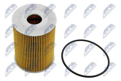 FOF-NS-022