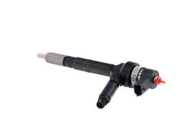 INJECTOR REMANTE 002003001191R 17