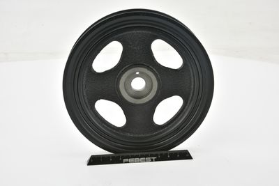 FULIE CUREA ARBORE COTIT FEBEST MDS4A92 51