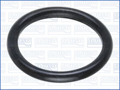 ETANSARE RACORD APA (COMPRESOR)