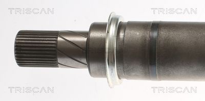 PLANETARA TRISCAN 854016664 1