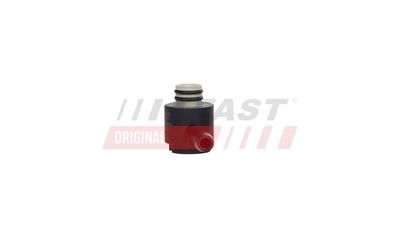 VENTIL FILTRU DE COMBUSTIBIL FAST FT04258 17