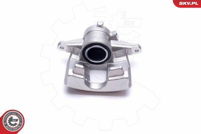 Brake Caliper 50SKV084