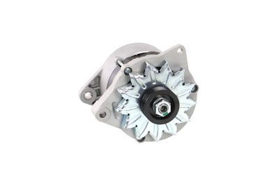 GENERATOR / ALTERNATOR REMANTE 011003000065R 59