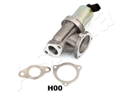 EGR Valve 150-0H-H00