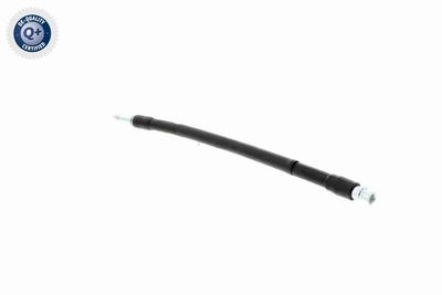 FURTUN FRANA VAICO V104223 3