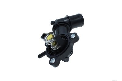 TERMOSTAT LICHID RACIRE AUTOMEGA 250460210 3