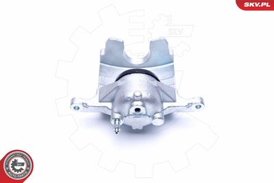 Brake Caliper 44SKV222