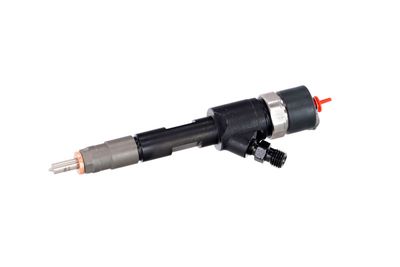INJECTOR REMANTE 002003001168R 8