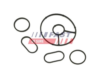 SET GARNITURI RADIATOR ULEI FAST FT48931 1