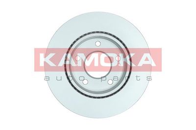 Brake Disc 1033198