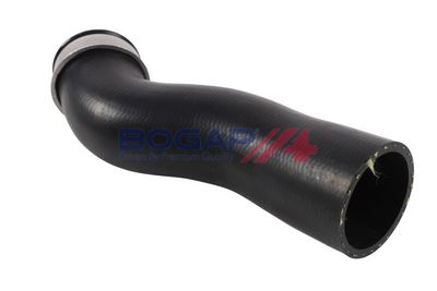 FURTUN EAR SUPRAALIMENTARE BOGAP A1711406 3