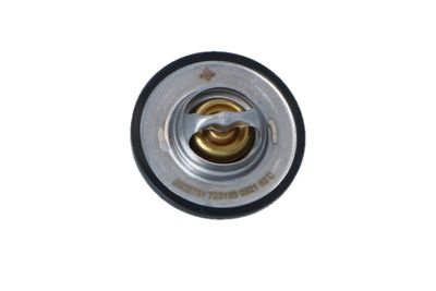 TERMOSTAT LICHID RACIRE NRF 725156 46
