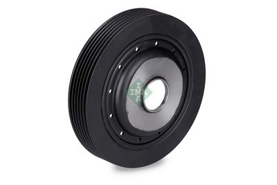 FULIE CUREA ARBORE COTIT Schaeffler INA 544009110 2