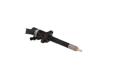 INJECTOR REMANTE 002003000030R 44