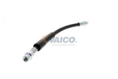 FURTUN FRANA VAICO V104119 51