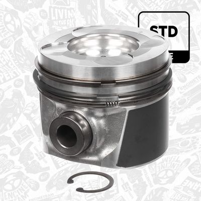 PISTON ET ENGINETEAM PM005500