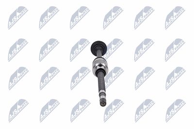 PLANETARA NTY NPWCT181 33