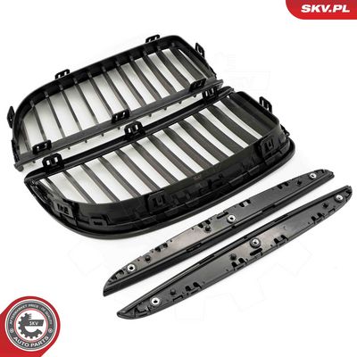 GRILA RADIATOR ESEN SKV 66SKV087 4