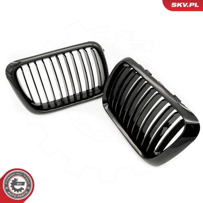 GRILA RADIATOR ESEN SKV 66SKV049 1