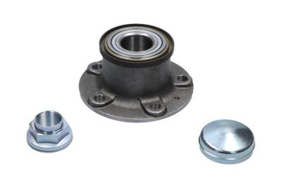 Kavo Parts Rato guolio komplektas