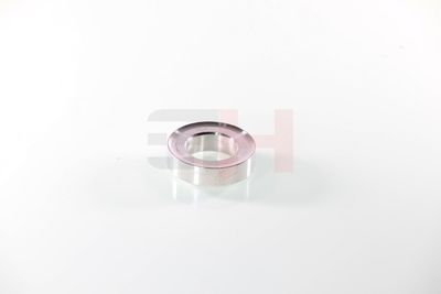 RULMENT SARCINA SUPORT ARC