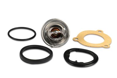 TERMOSTAT LICHID RACIRE HEPU TM1306 1