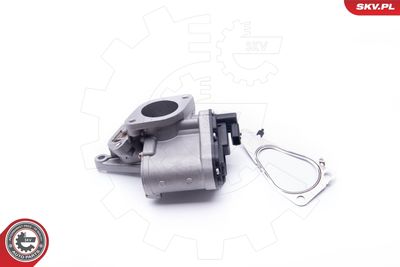 EGR Valve 14SKV165