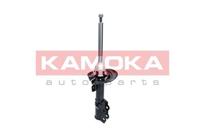 Shock Absorber 2000488