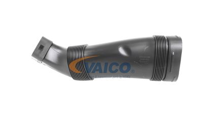 PALNIE FILTRU DE AER VAICO V203966 29