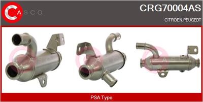 RADIATOR RECIRCULARE GAZE DE ESAPAMENT