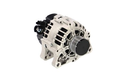 GENERATOR / ALTERNATOR REMANTE 011003000536R 49