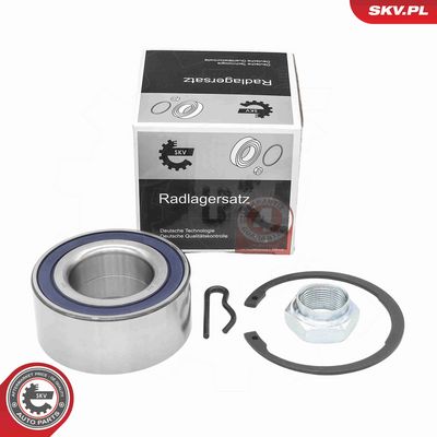 SET RULMENT ROATA ESEN SKV 85SKV006