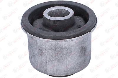 SUPORT AX BIRTH 53913 1