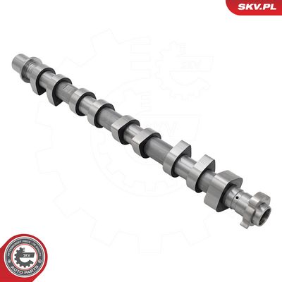 AX CU CAME ESEN SKV 80SKV054 3
