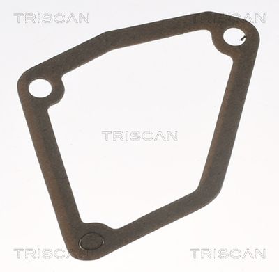 TERMOSTAT LICHID RACIRE TRISCAN 862010882 3