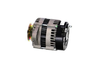 GENERATOR / ALTERNATOR REMANTE 011003000130R 65