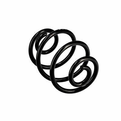 ARC SPIRAL EIBACH R10187 11